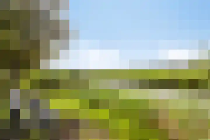 Jacob Marislaan 24 Hillegom thumbnail 33