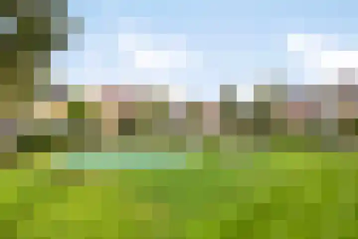 Jacob Marislaan 24 Hillegom thumbnail 34