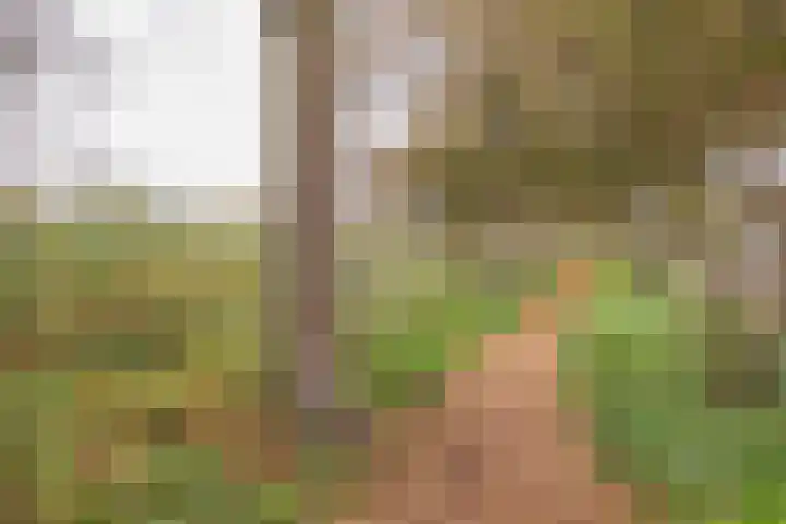 Jacob Marislaan 25 Hillegom thumbnail 42