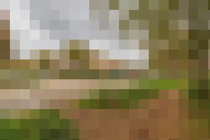 Jacob Marislaan 25 Hillegom thumbnail 43