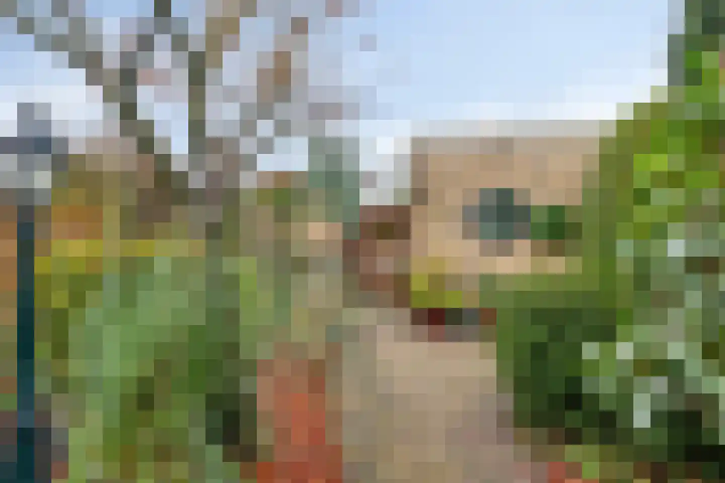 Jacob Marislaan 6 Hillegom thumbnail 26