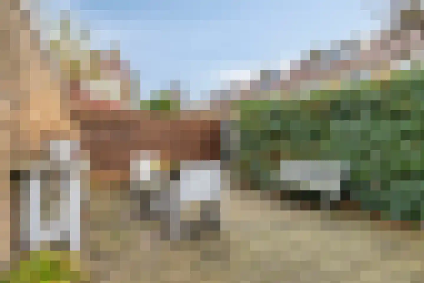 Jacob Marislaan 6 Hillegom thumbnail 28