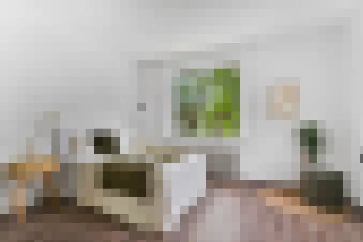 Jacob Marislaan 77 2 Arnhem thumbnail 15