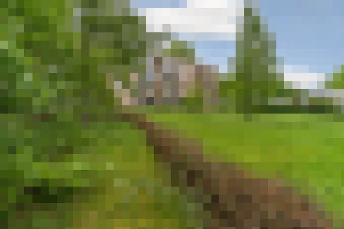Jacob Marislaan 77 2 Arnhem thumbnail 27
