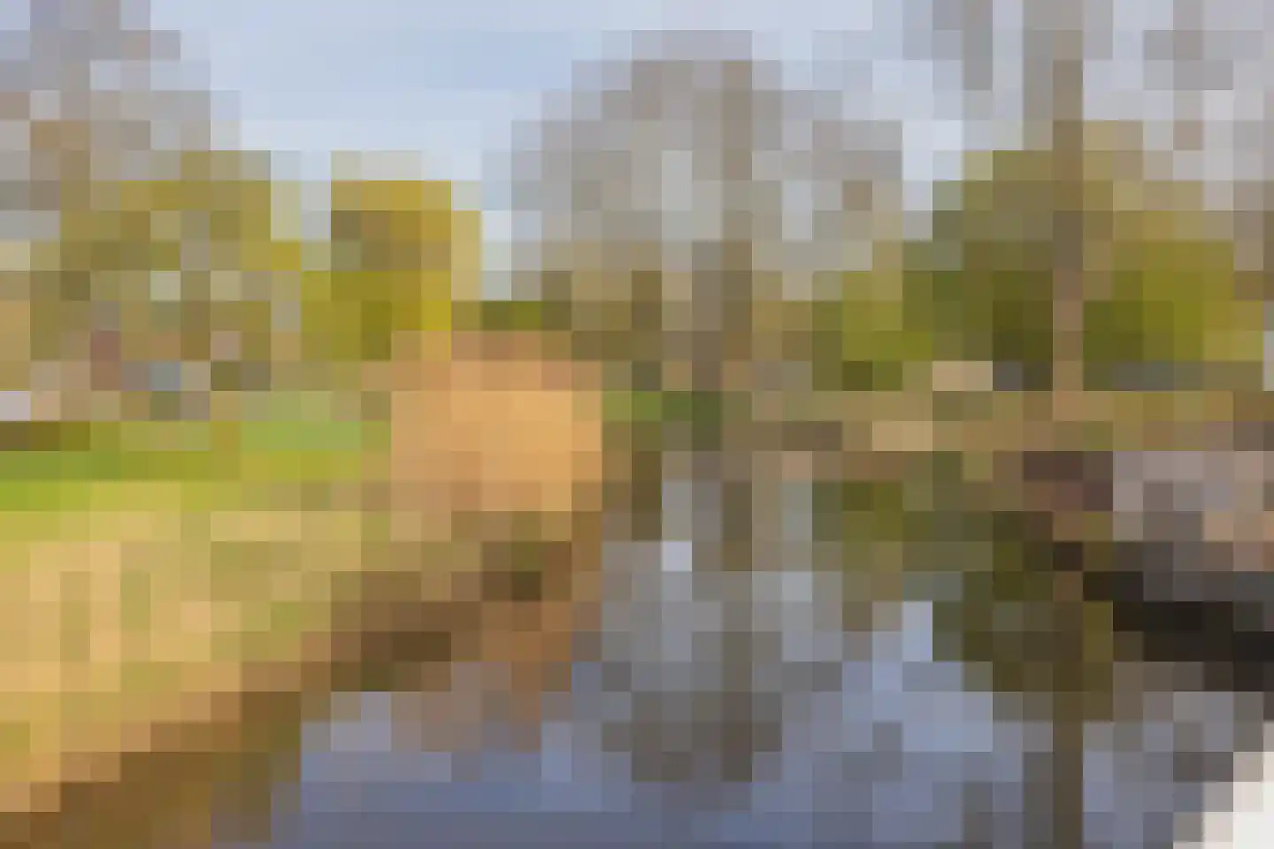 Jacob Marislaan 8 Hillegom thumbnail 50