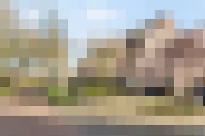 Jacob Marisplein 3 Vleuten thumbnail 25