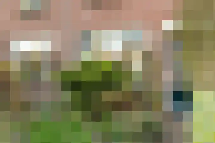 Jacob Marisplein 3 Vleuten thumbnail 26