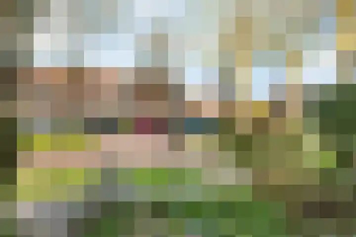 Jacob Marisplein 3 Vleuten thumbnail 27