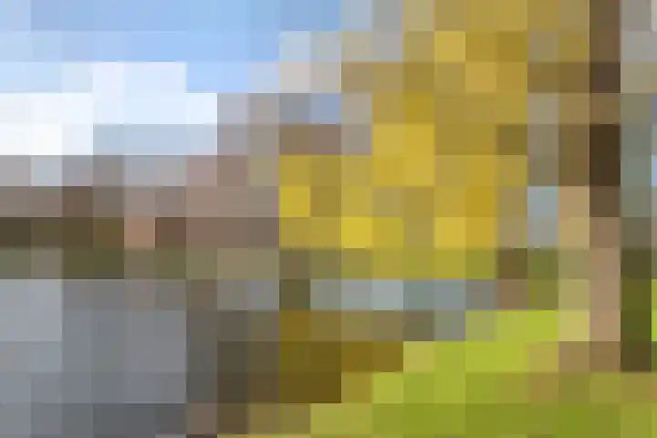 Jacob Marisplein 3 Vleuten thumbnail 29