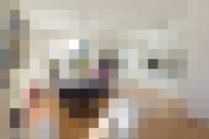 Jacob Marisplein 3 Vleuten thumbnail 6