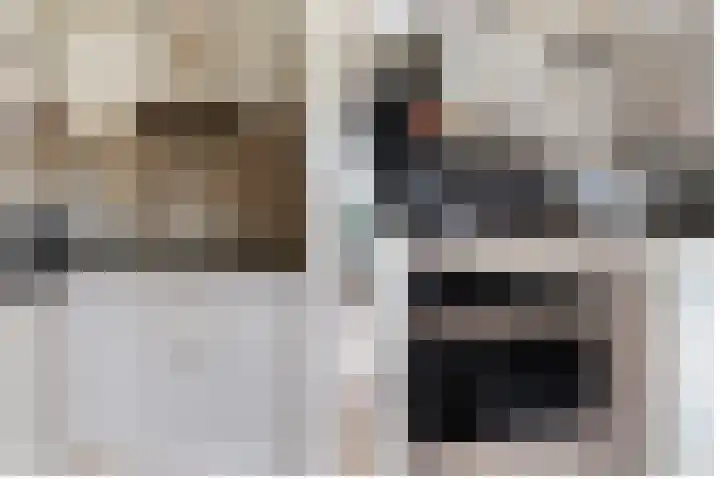 Jacob Marisplein 3 Vleuten thumbnail 9