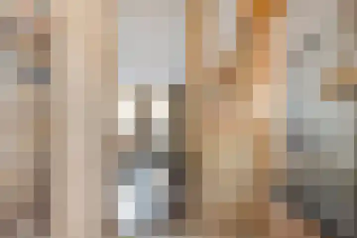 Jacob Marisstraat 12 Boxmeer thumbnail 15