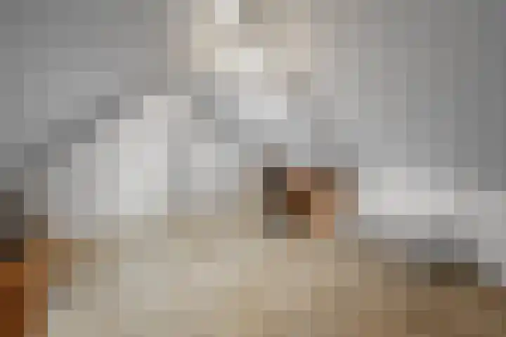 Jacob Marisstraat 12 Roosendaal thumbnail 32