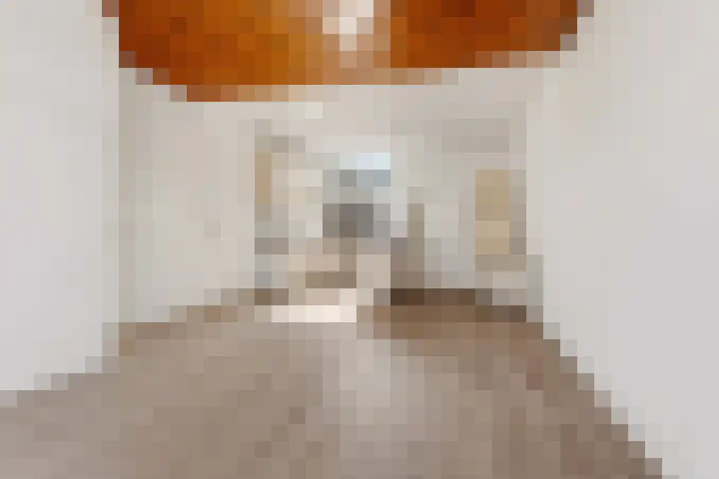 Jacob Marisstraat 123 Den Haag thumbnail 19