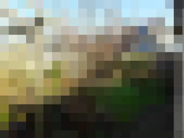 Jacob Marisstraat 13 Schagen thumbnail 20
