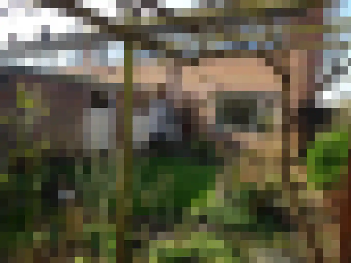 Jacob Marisstraat 13 Schagen thumbnail 5