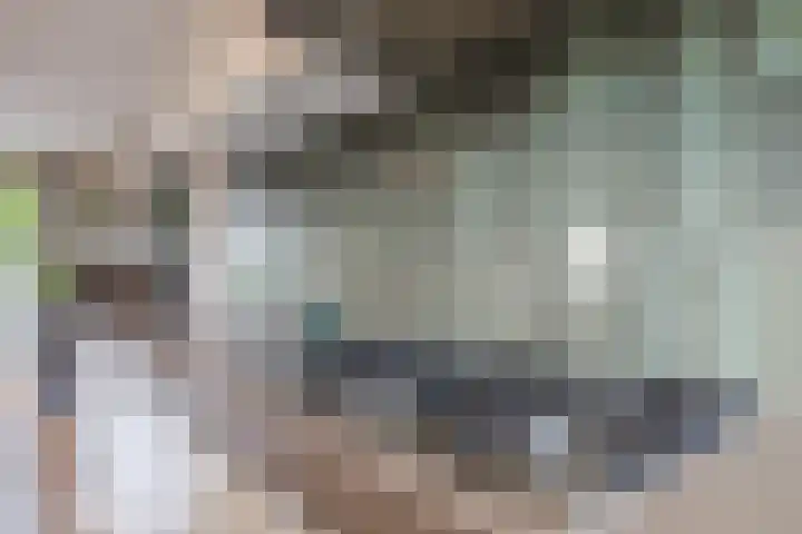 Jacob Marisstraat 20 Ommen thumbnail 10