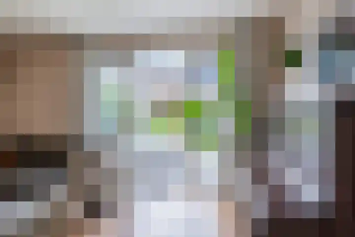 Jacob Marisstraat 20 Ommen thumbnail 8