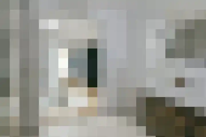 Jacob Marisstraat 21 1 Amsterdam thumbnail 21