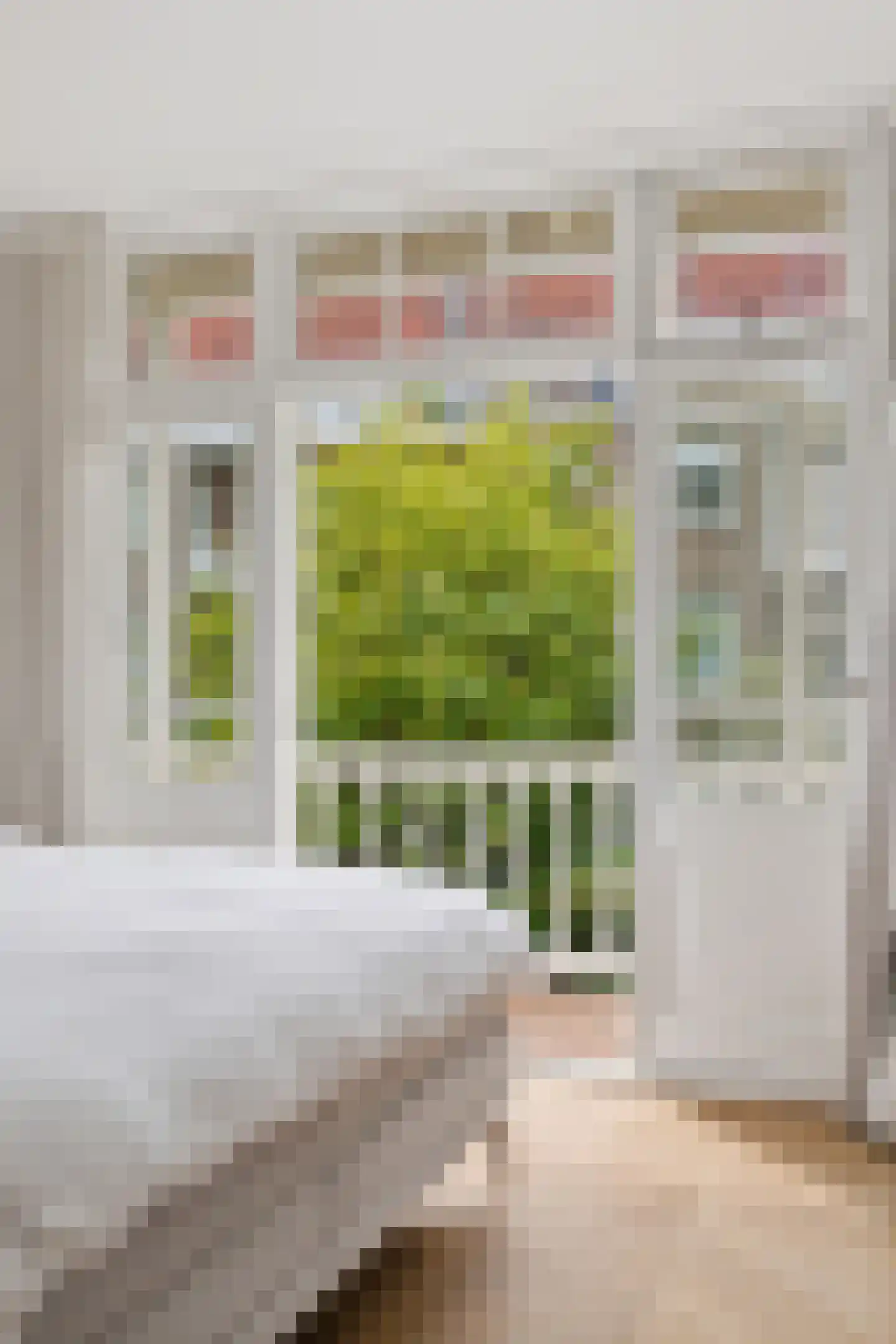 Jacob Marisstraat 24 2 Amsterdam thumbnail 26
