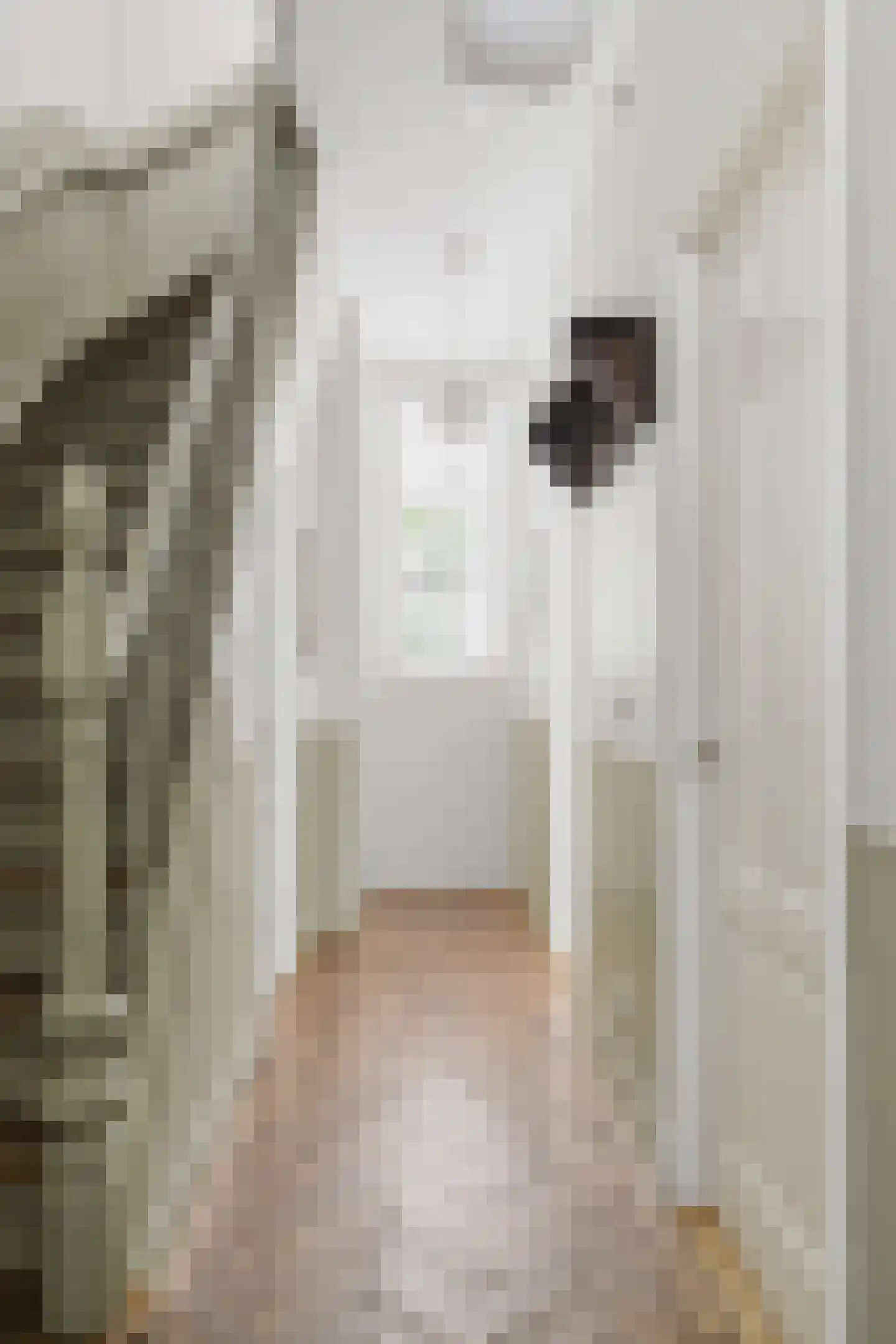 Jacob Marisstraat 24 2 Amsterdam thumbnail 47