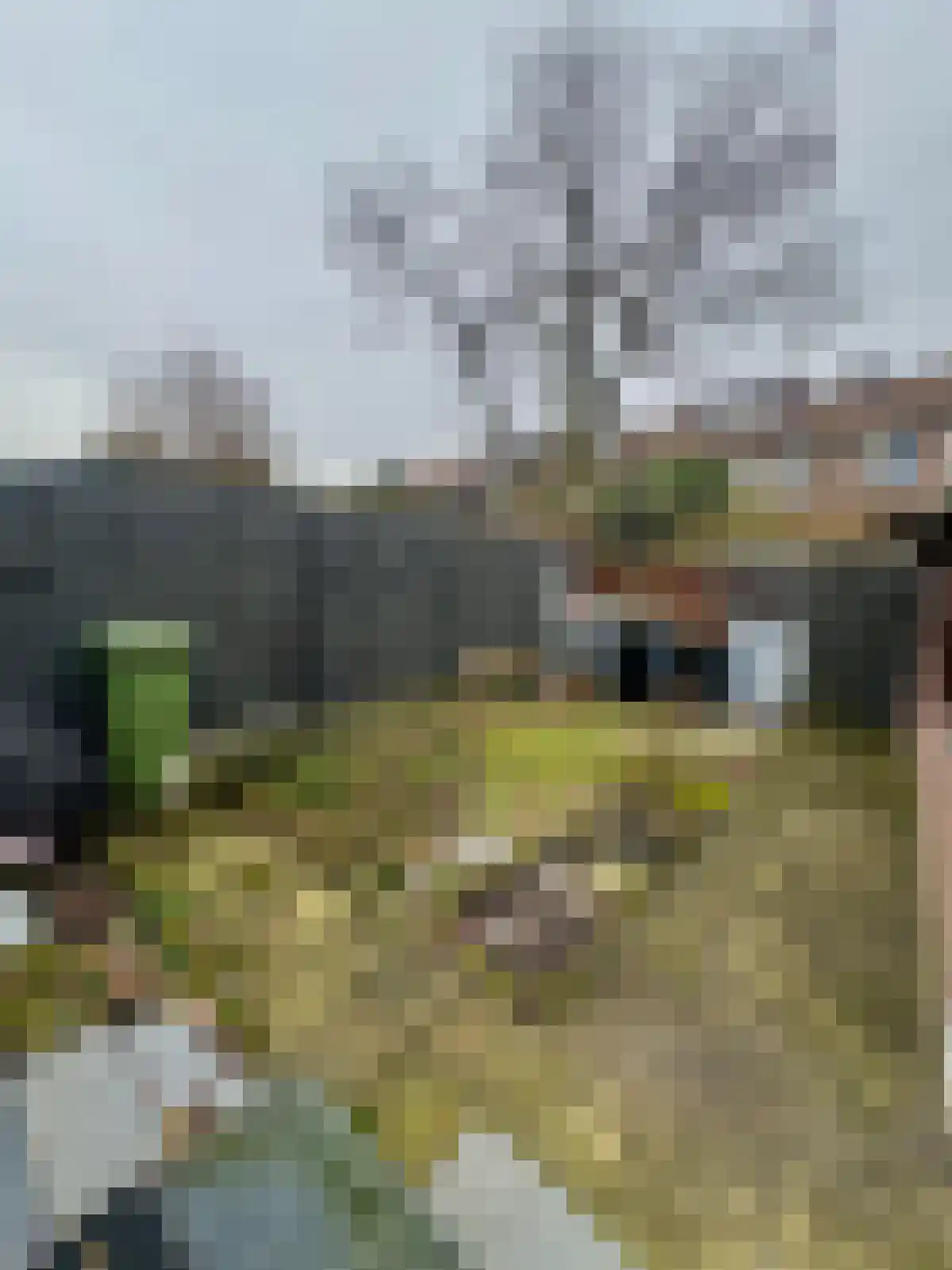 Jacob Marisstraat 24 Zwijndrecht thumbnail 21