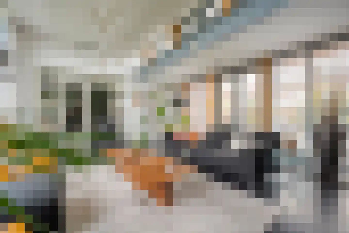 Jacob Marisstraat 27 Ommen thumbnail 25