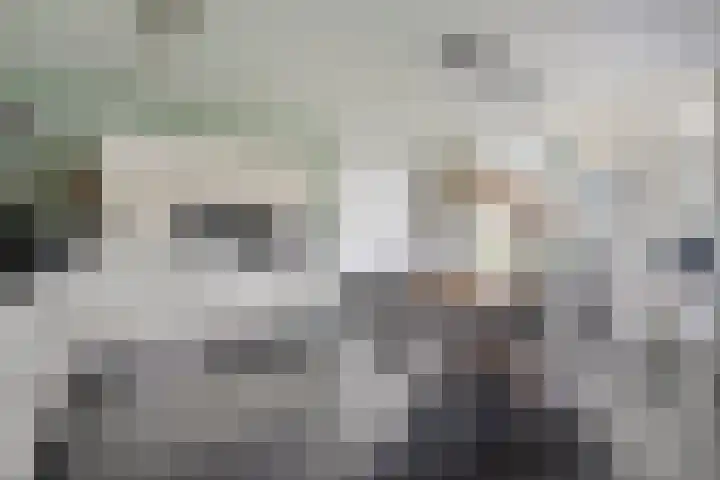 Jacob Marisstraat 27 Ommen thumbnail 4