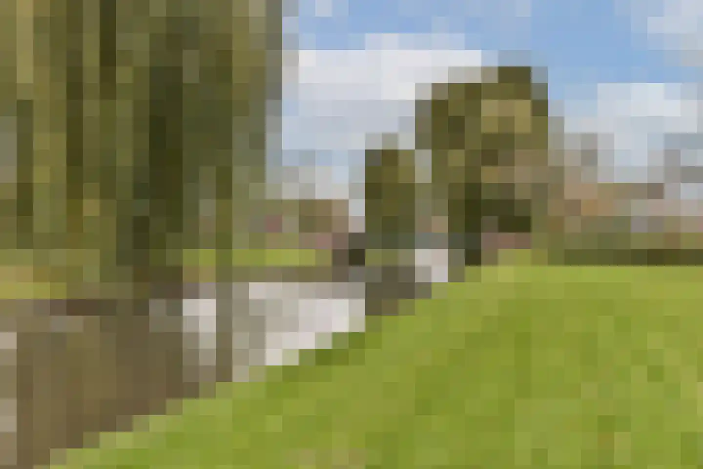 Jacob Marisstraat 29 Zwijndrecht thumbnail 26