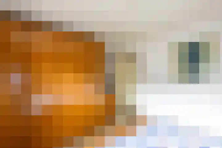 Jacob Marisstraat 3 Bergen L thumbnail 15