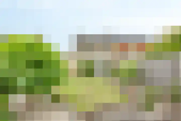 Jacob Marisstraat 3 Bergen L thumbnail 21