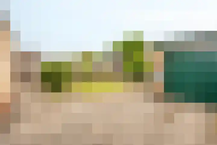 Jacob Marisstraat 3 Bergen L thumbnail 27