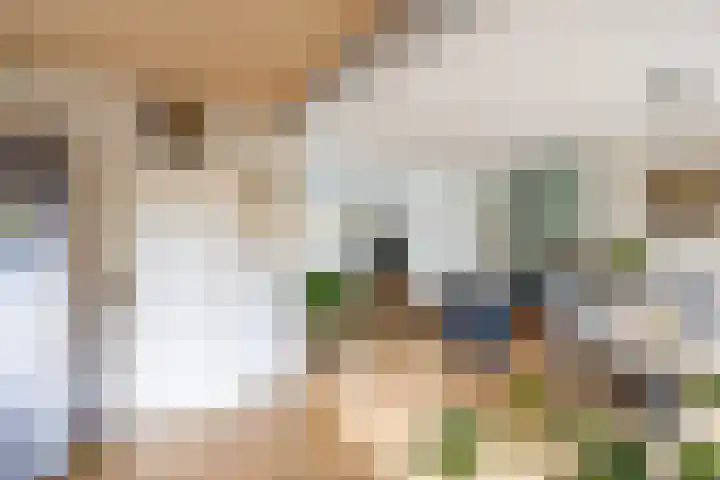 Jacob Marisstraat 3 Bergen L thumbnail 5