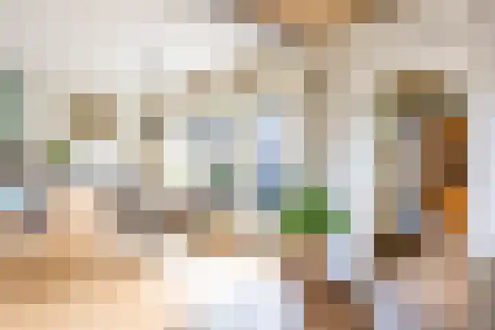 Jacob Marisstraat 3 Bergen L thumbnail 6