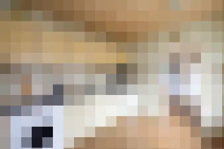Jacob Marisstraat 3 Bergen L thumbnail 8