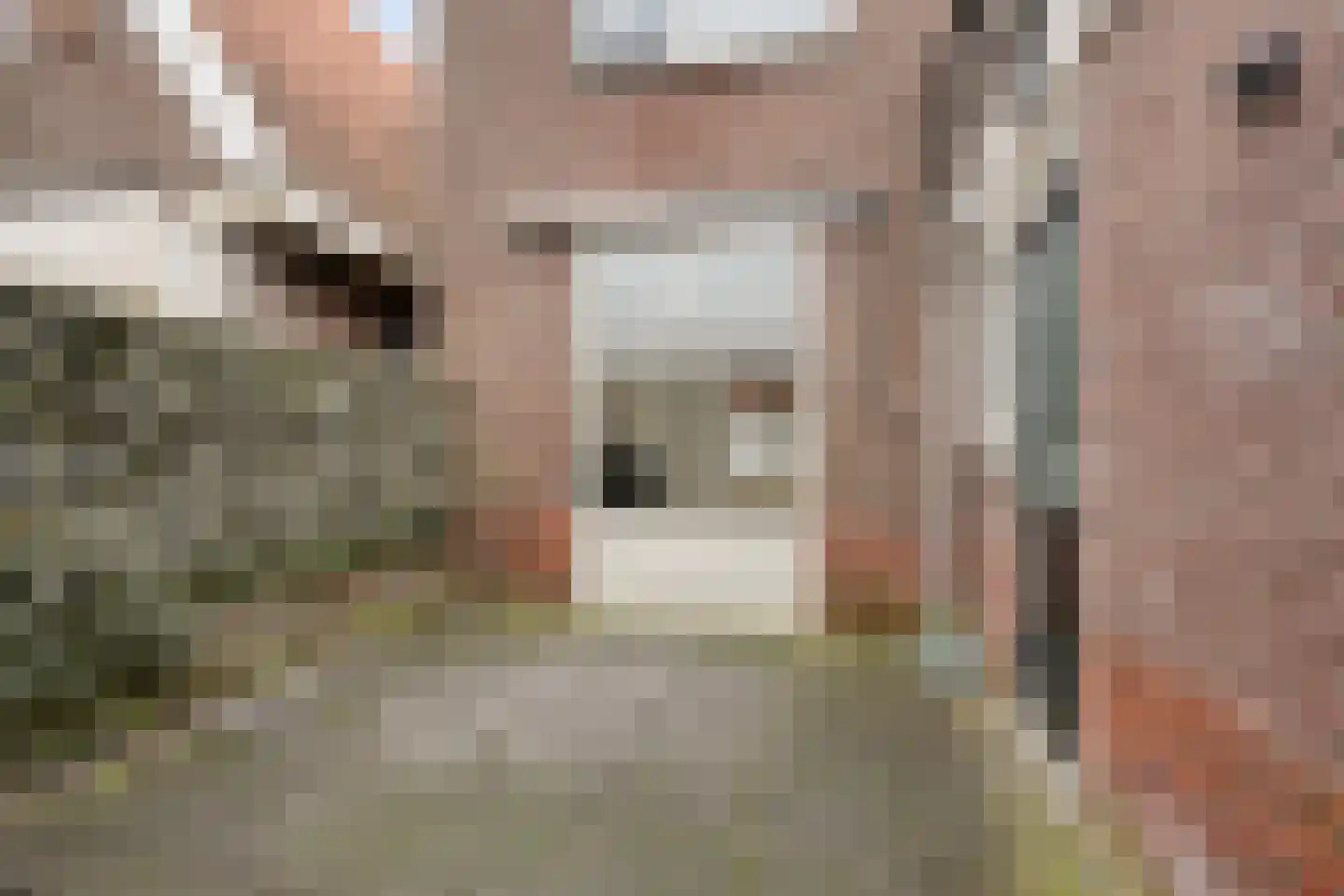 Jacob Marisstraat 32 Leeuwarden thumbnail 19