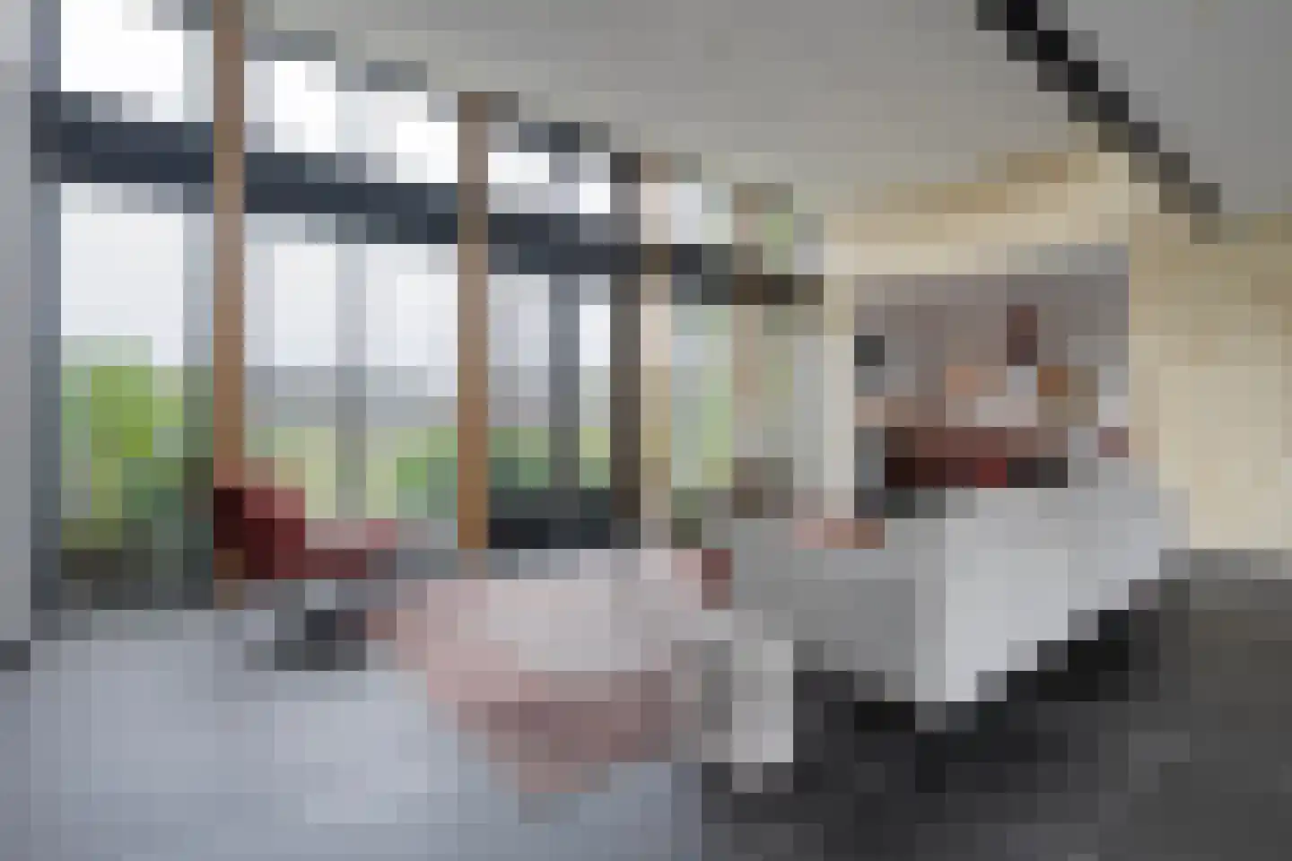 Jacob Marisstraat 33 Ommen thumbnail 31