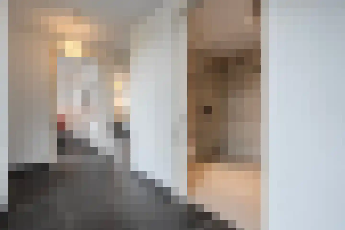 Jacob Marisstraat 33 Ommen thumbnail 38