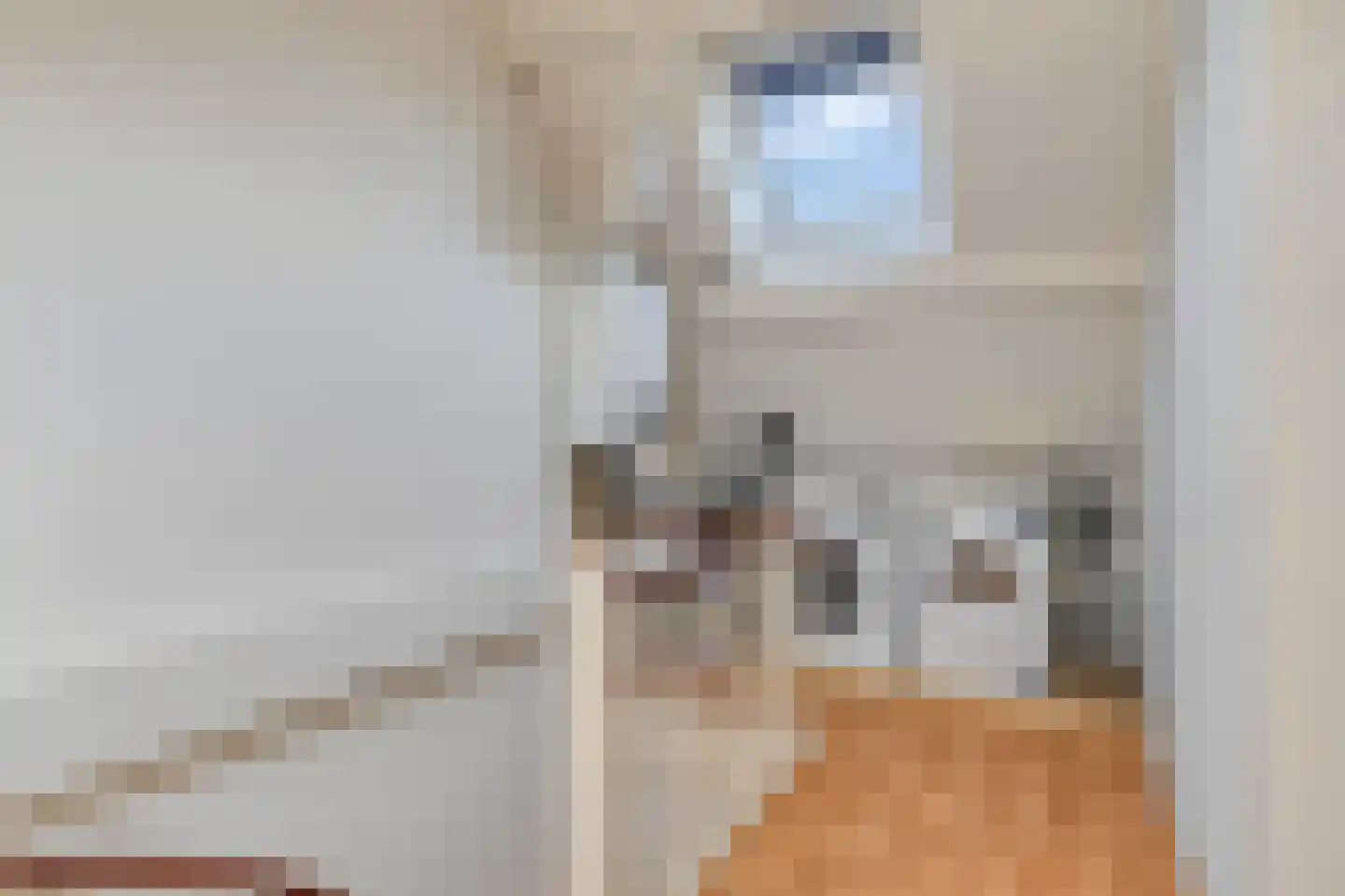 Jacob Marisstraat 5 Oud-Beijerland thumbnail 26