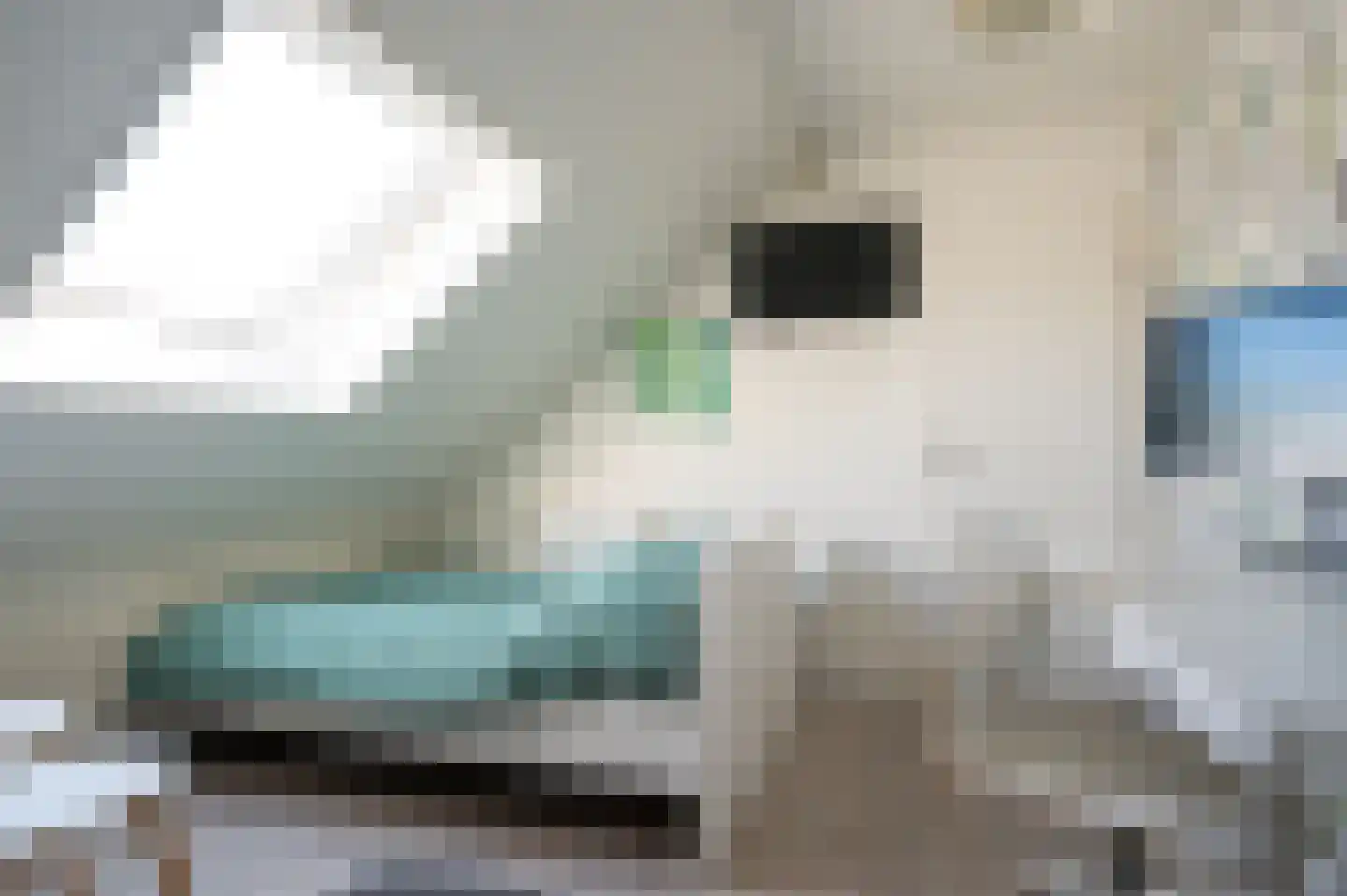 Jacob Marisstraat 6 Apeldoorn thumbnail 38