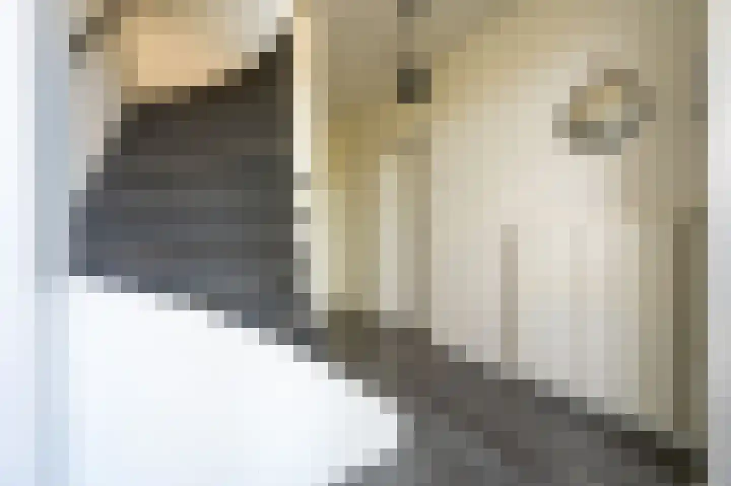Jacob Marisstraat 6 Apeldoorn thumbnail 8