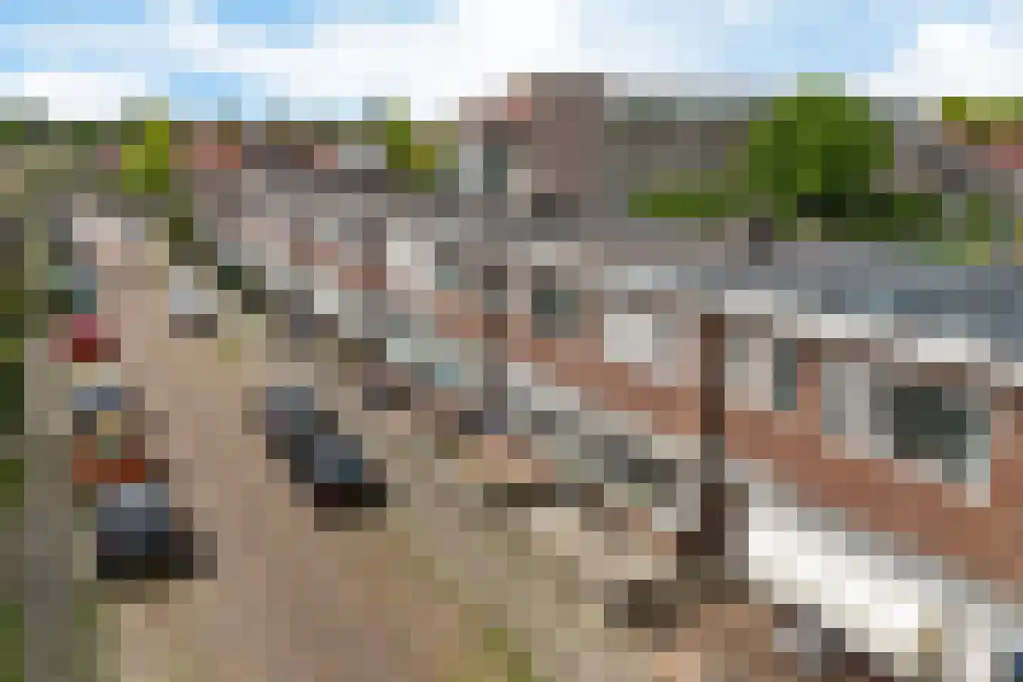 Jacob Marisstraat 6 Leeuwarden thumbnail 46