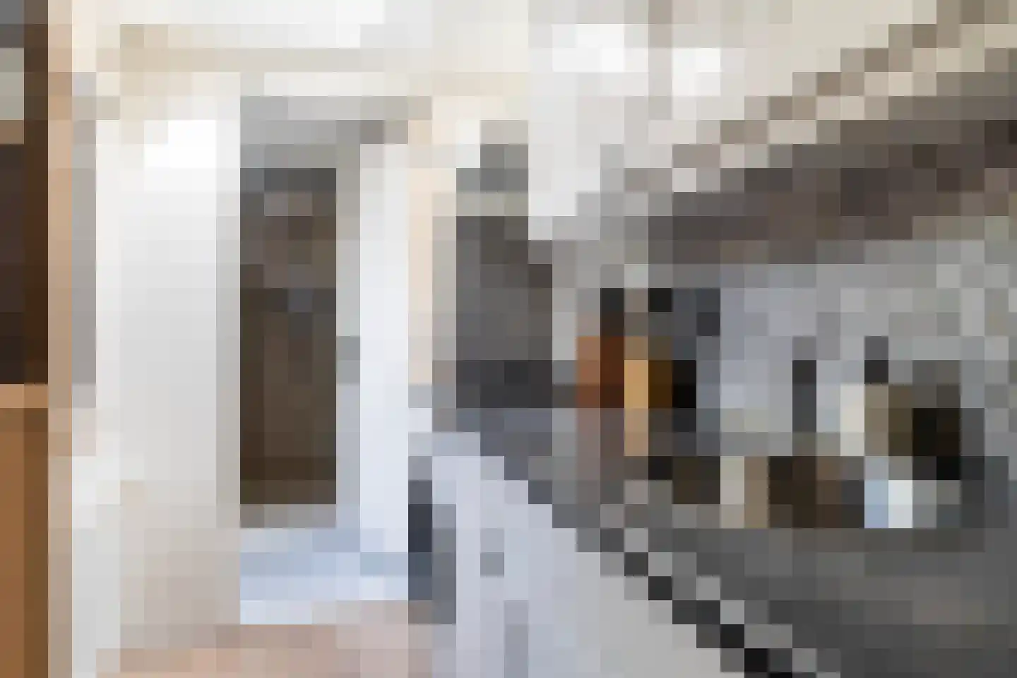 Jacob Marisstraat 61 Leeuwarden thumbnail 22