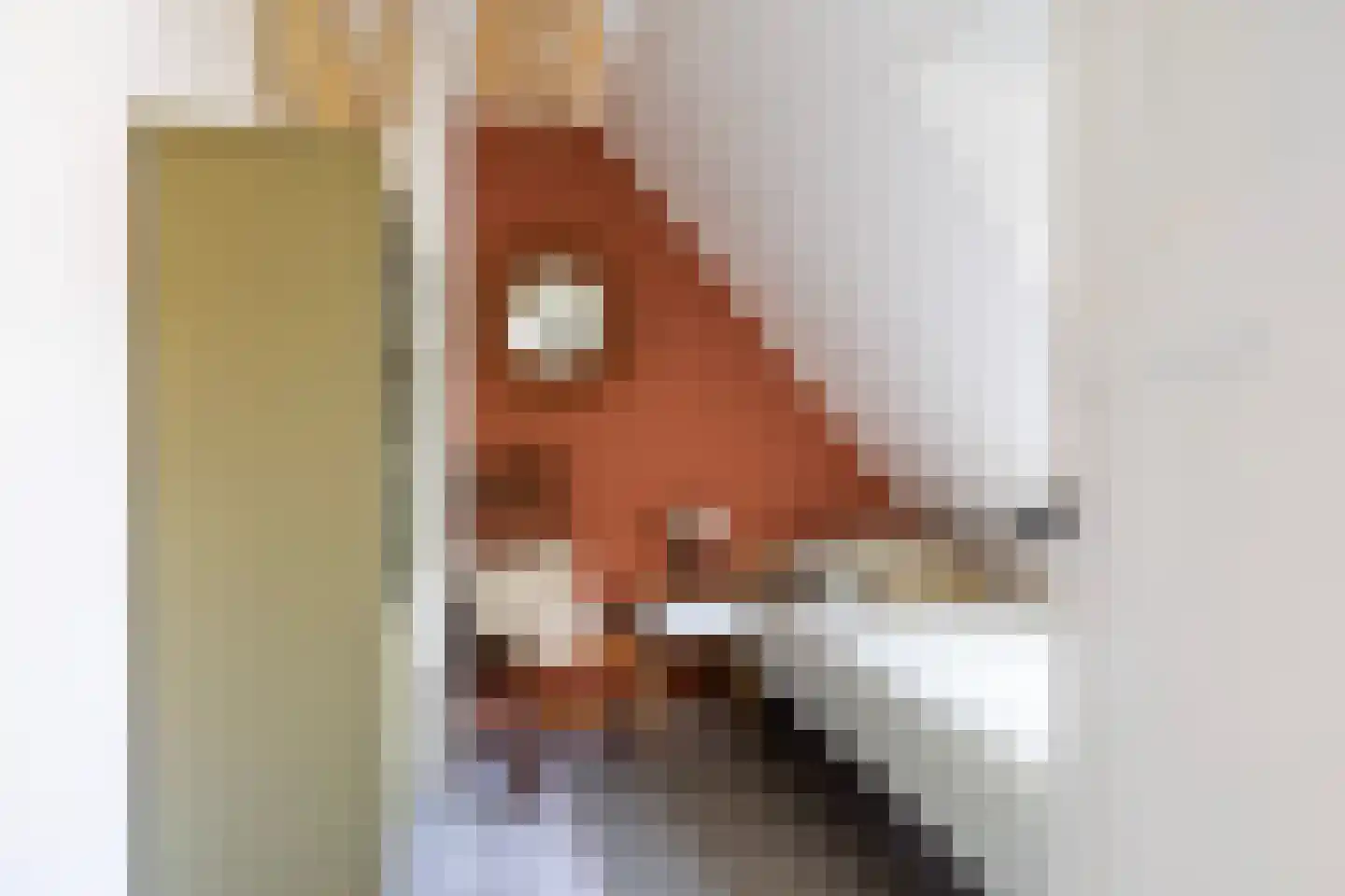 Jacob Marisstraat 61 Leeuwarden thumbnail 33