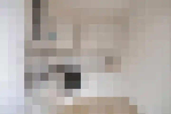 Jacob Marisstraat 69 Boxmeer thumbnail 9