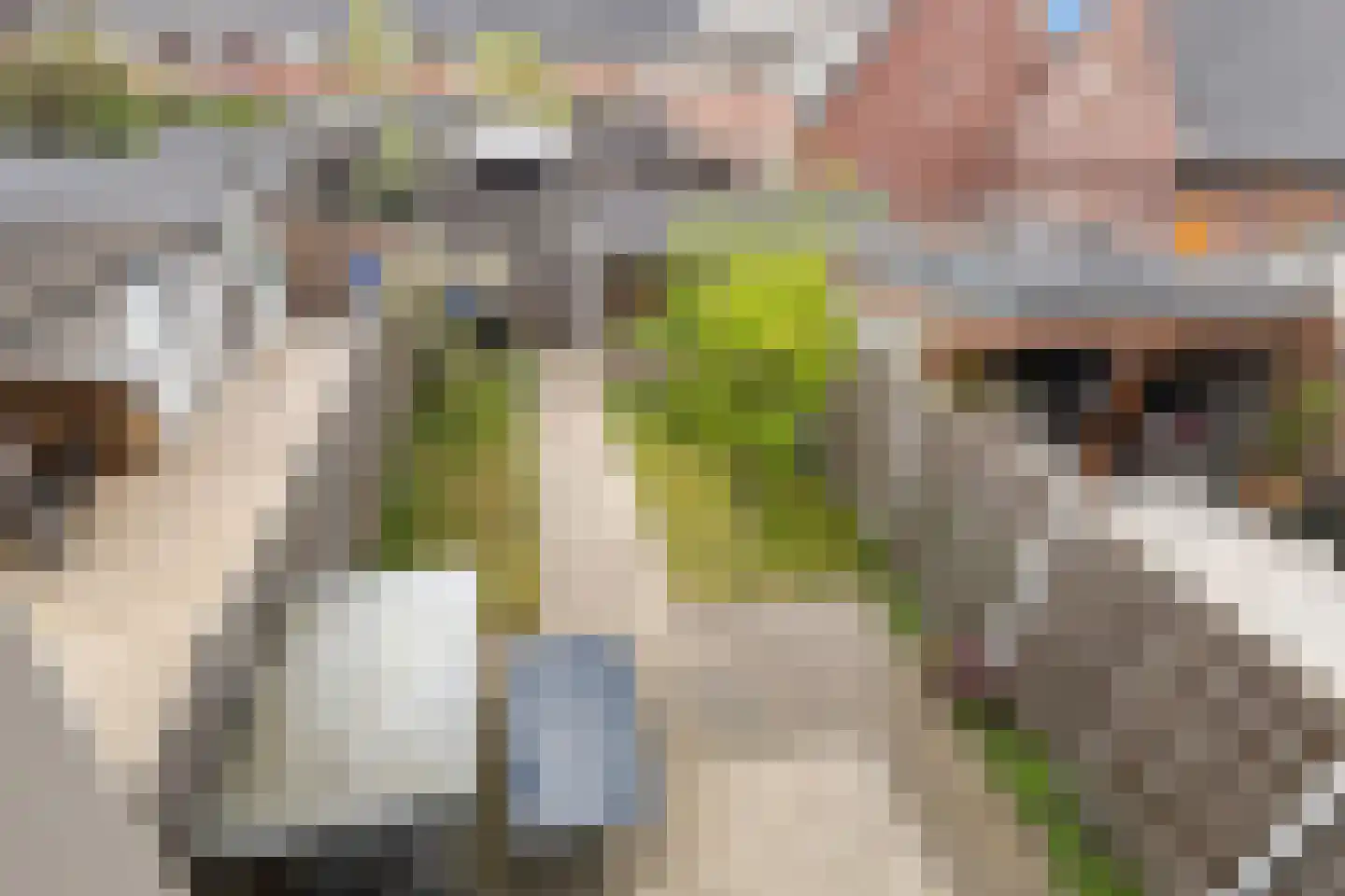 Jacob Marisstraat 73 Dordrecht thumbnail 36