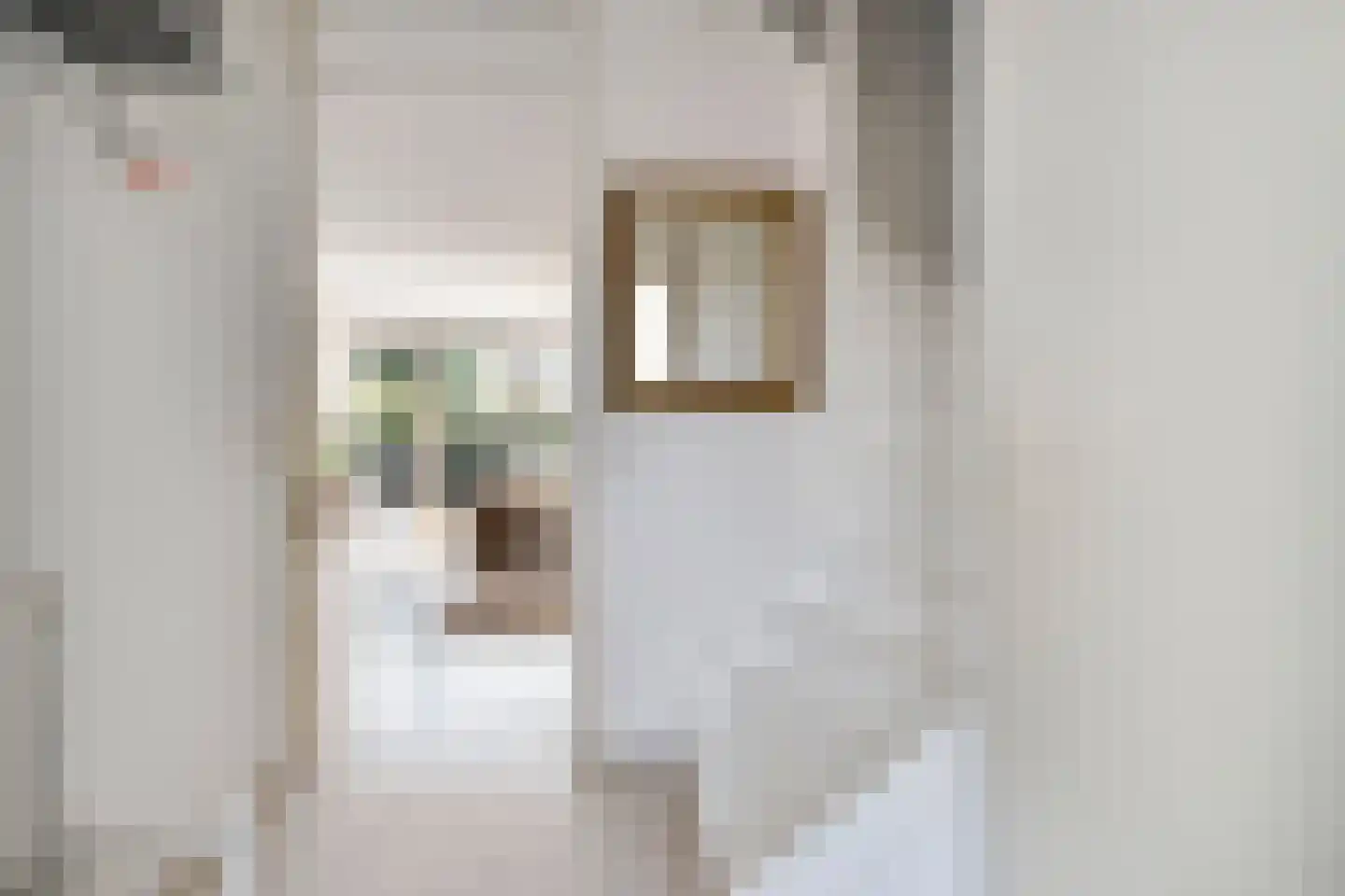 Jacob Marisstraat 74 Ommen thumbnail 18