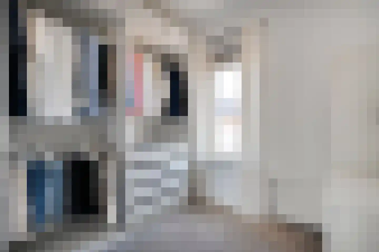 Jacob Marisstraat 74 Ommen thumbnail 25