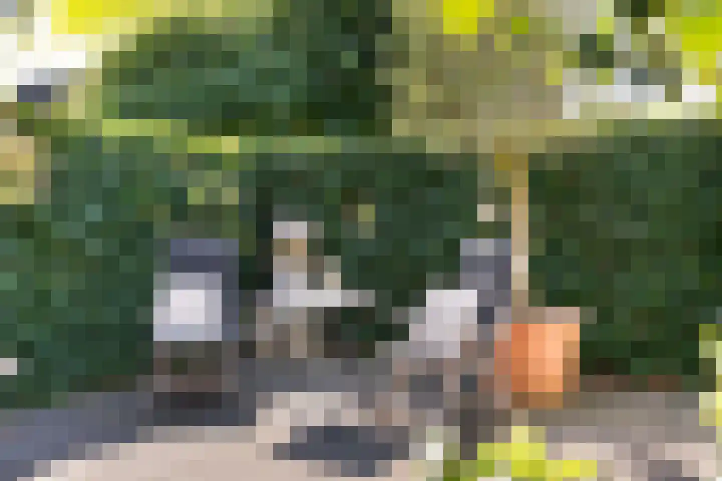 Jacob Marisstraat 74 Ommen thumbnail 33