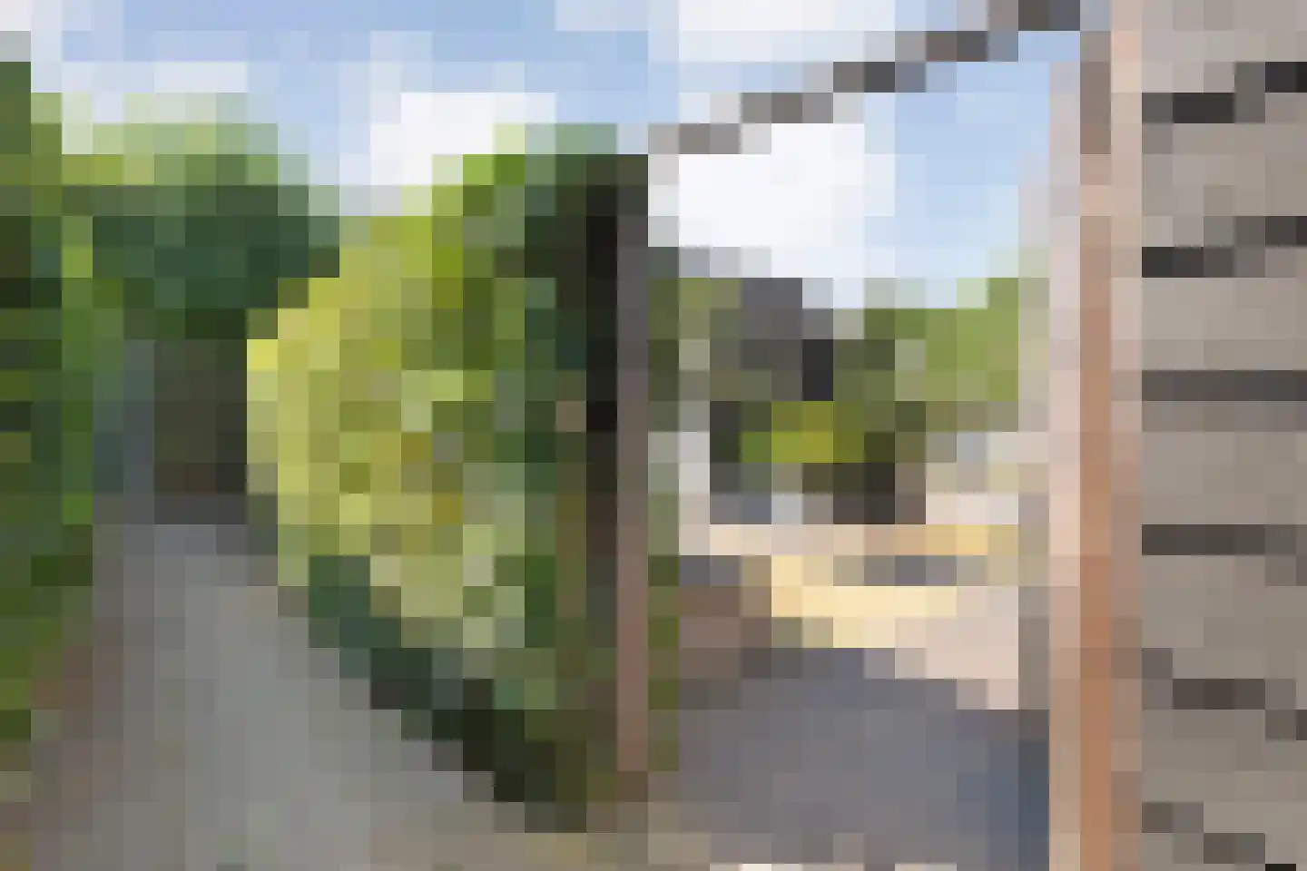 Jacob Marisstraat 74 Ommen thumbnail 4